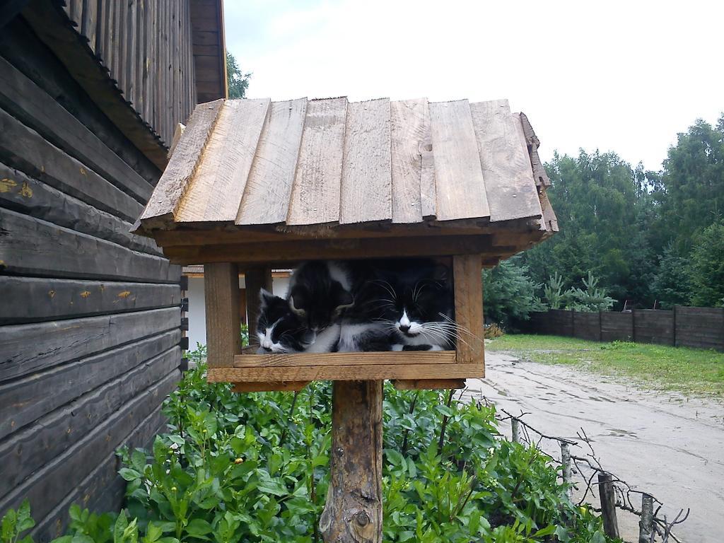 Farm stay Zagrodowa Osada Kazimierz Dolny