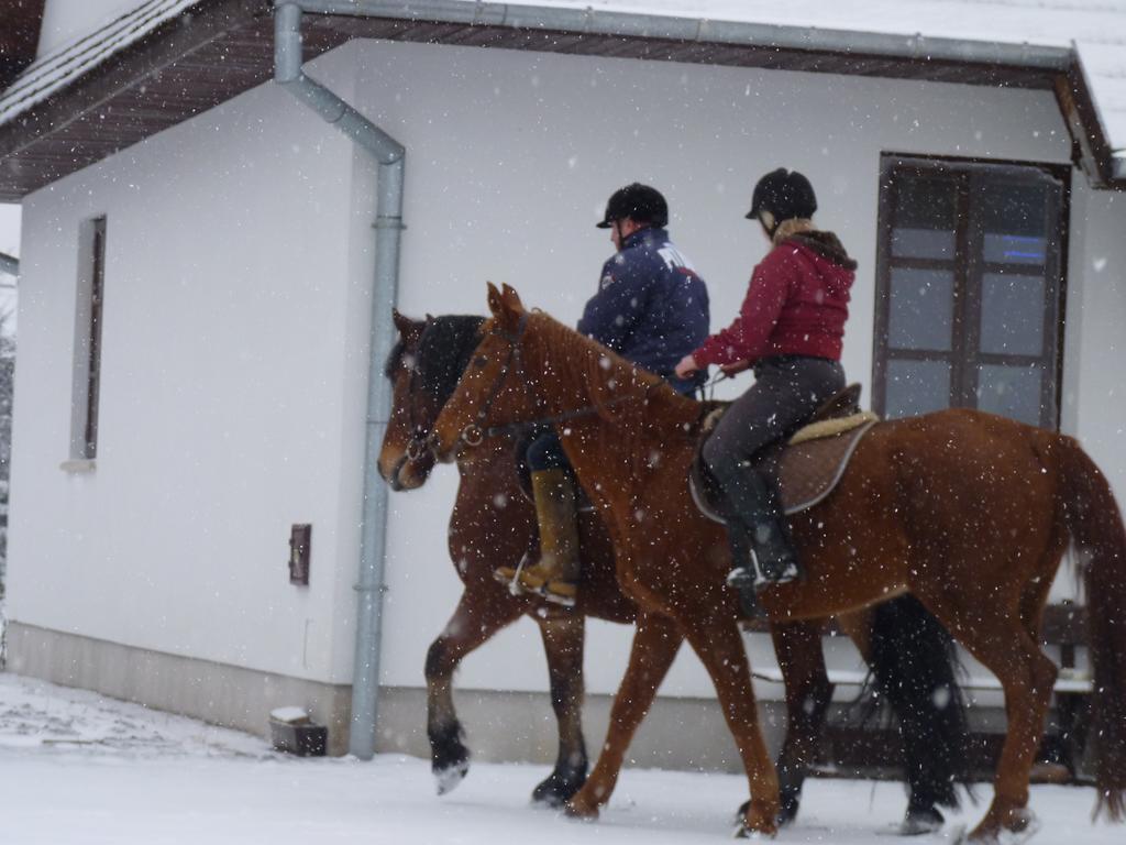 Zagrodowa Osada Farm stay