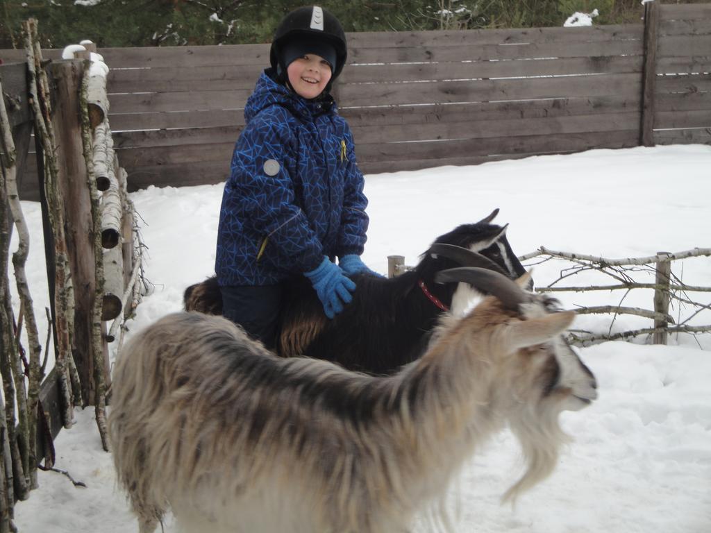 Farm stay Zagrodowa Osada *