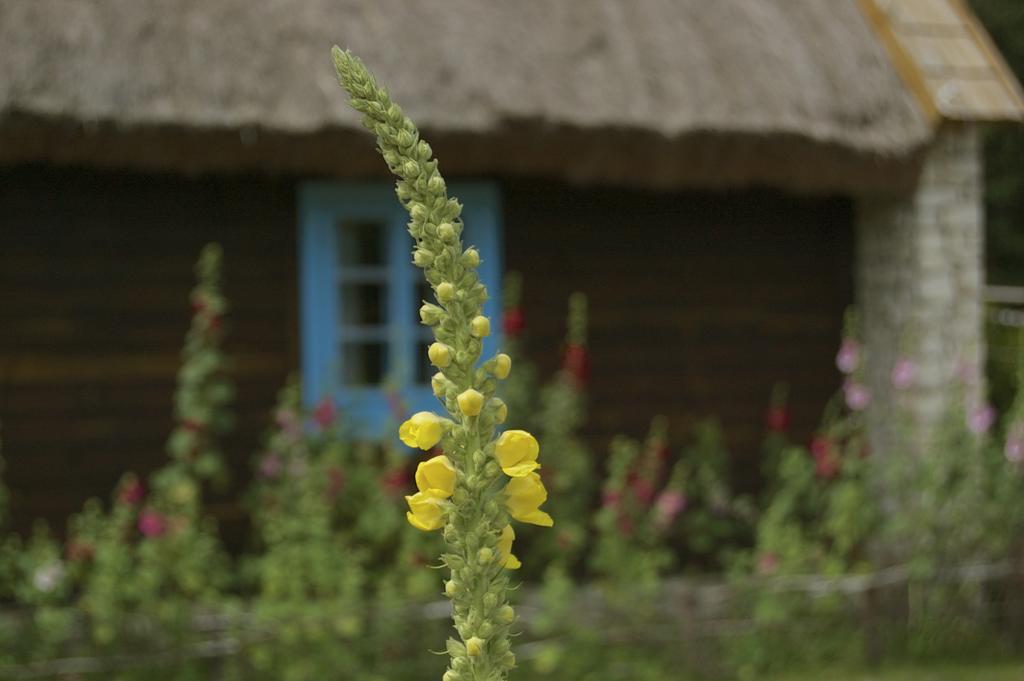 Zagrodowa Osada Farm stay *