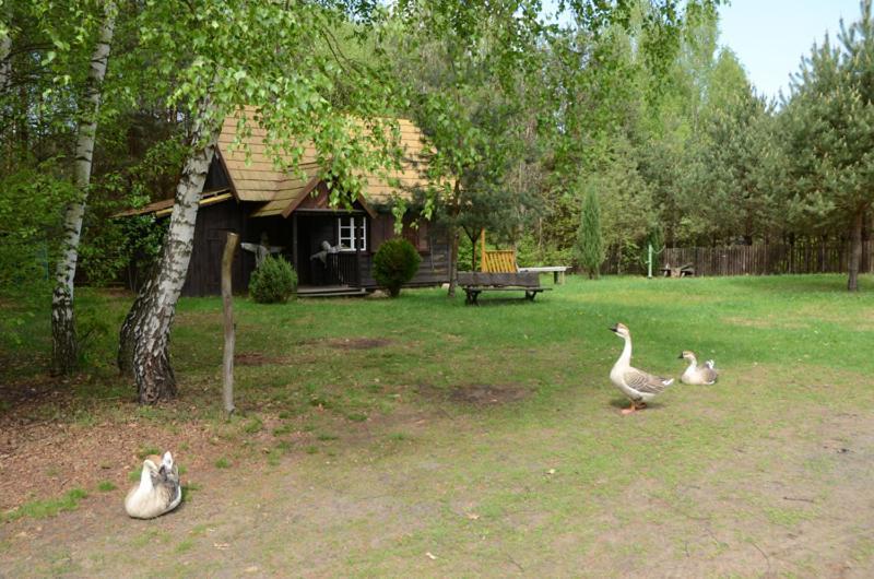 Zagrodowa Osada Farm stay Kazimierz Dolny